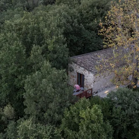 Il Cannito