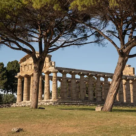 Il Cannito