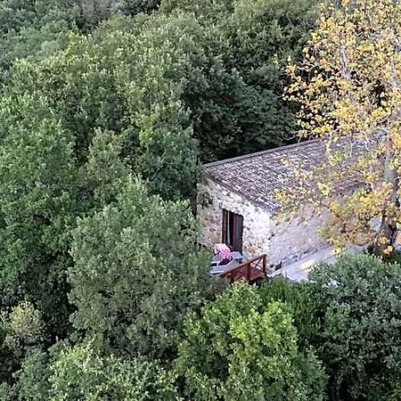 Il Cannito *