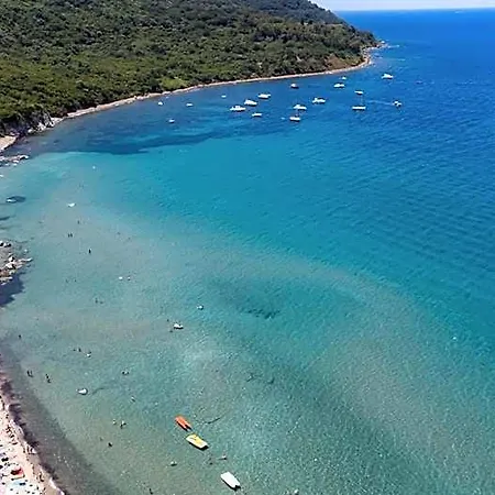 Il Cannito *